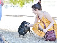 Playful In The Park photos (Kylie Quinn)